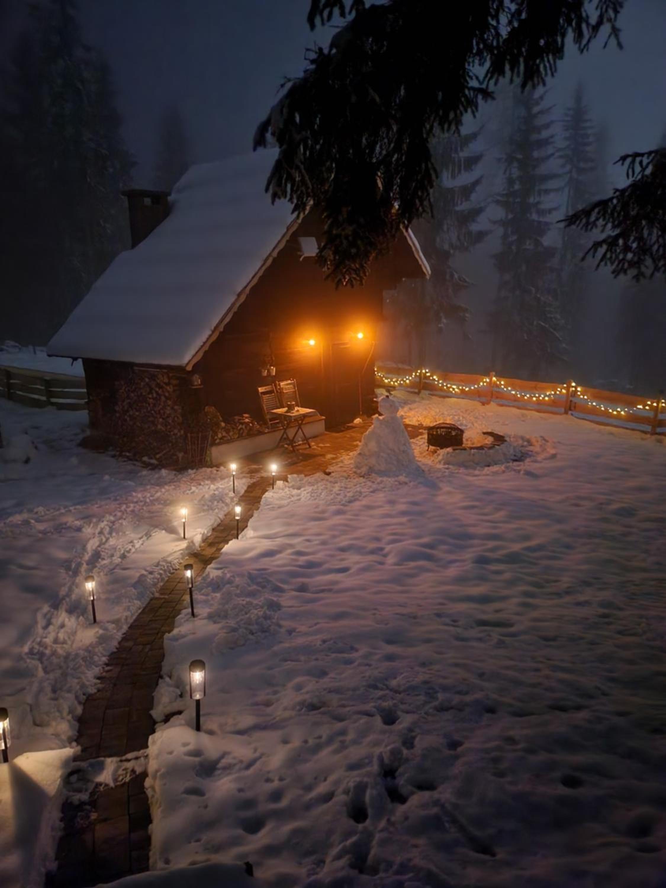 Urige Waldbienenhütte