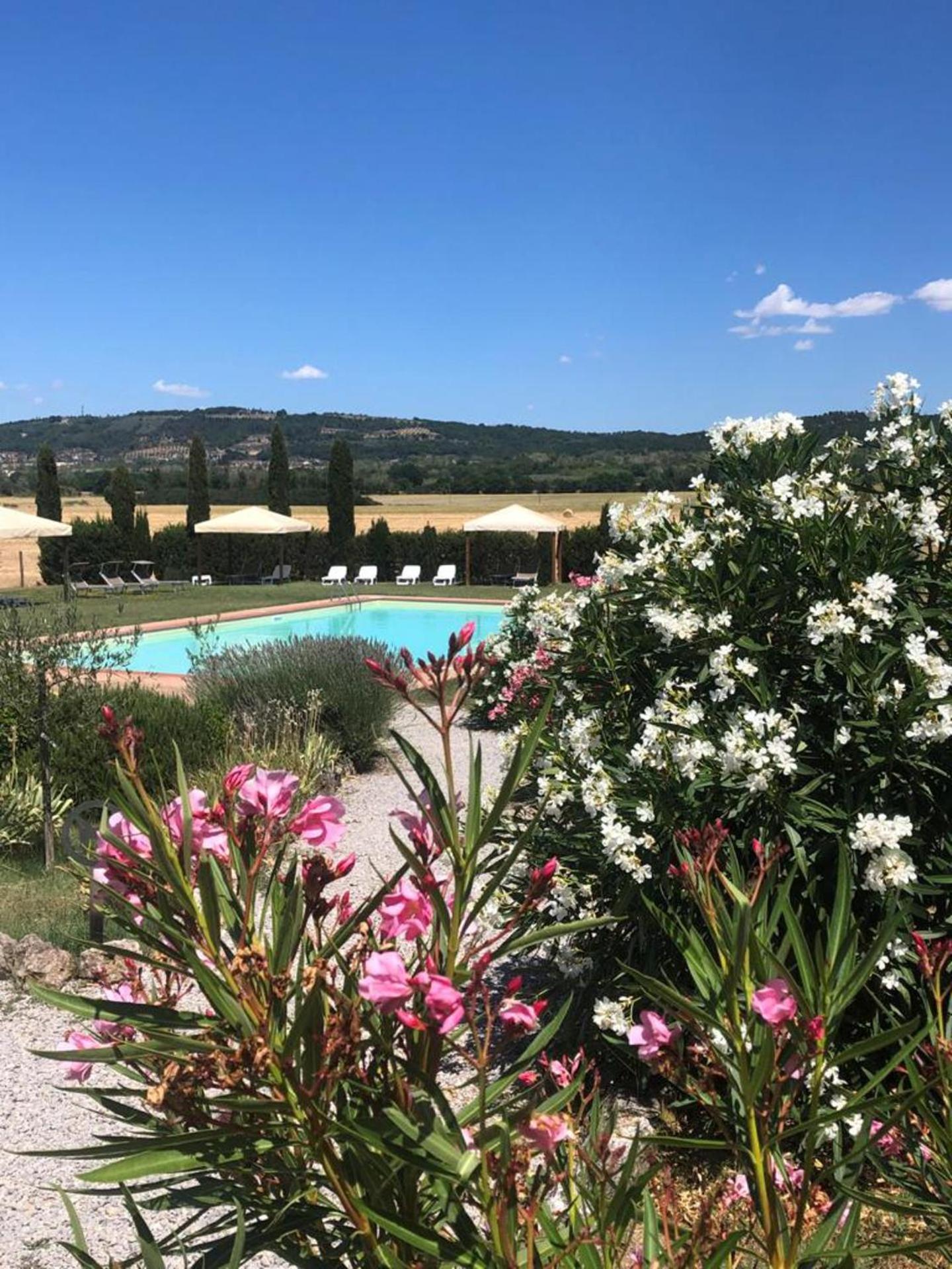 Country House Girasole Crete Senesi Vakantie Huis view 3