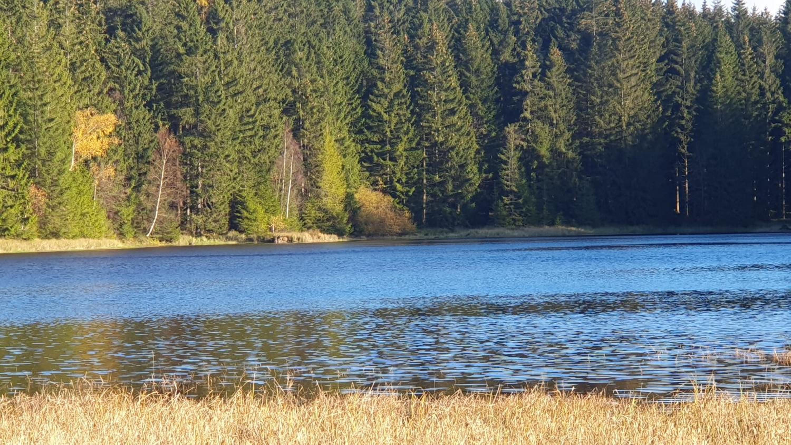 Ferienhaus Bringfriede
