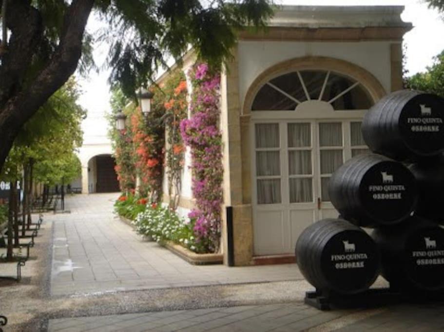 Apartamento Paola