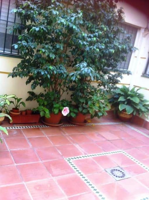Apartamento Paola