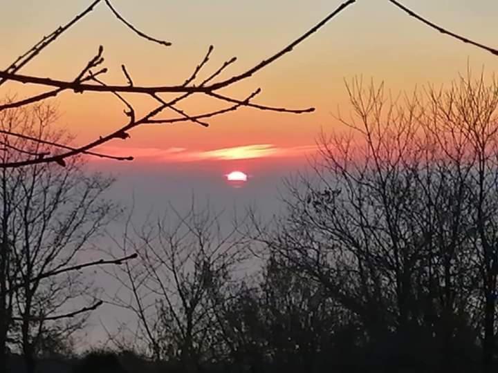 Feudo Magazzeni Etna