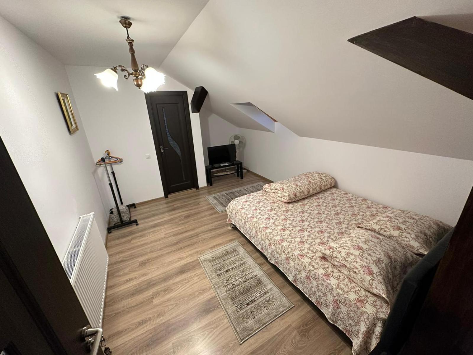 Casa de vacanta Mirela view 2