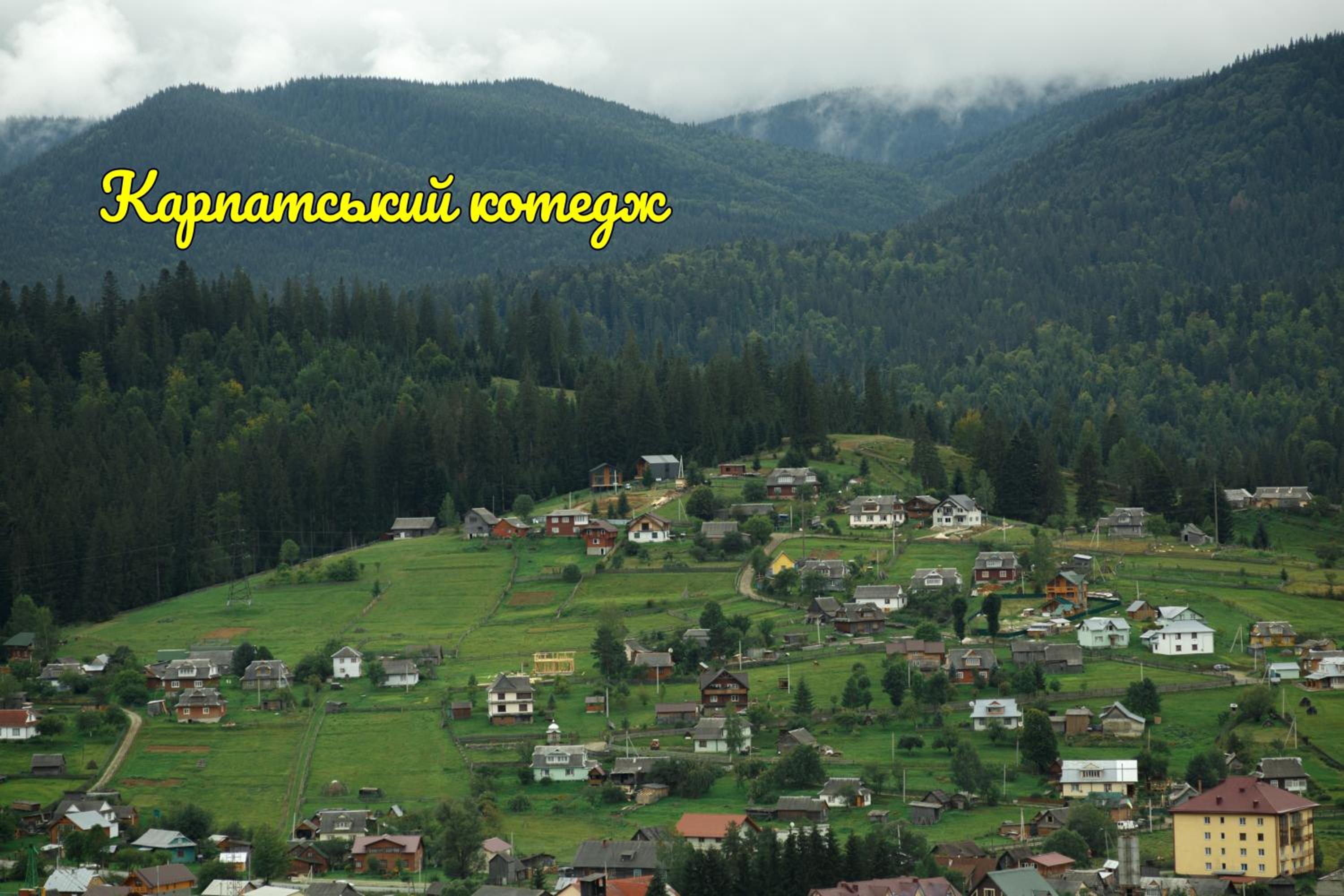 Photo 75