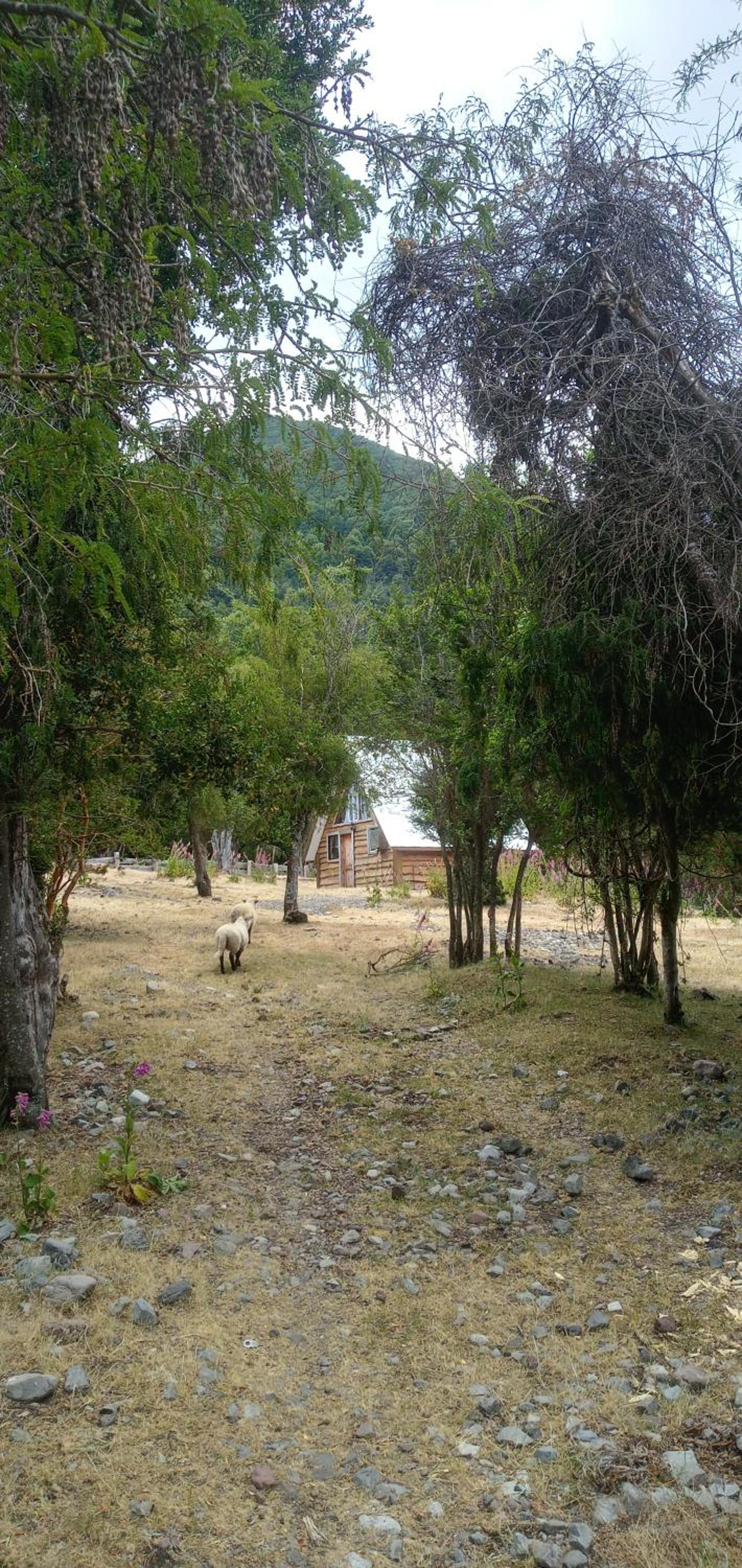 Cabaña Nawel