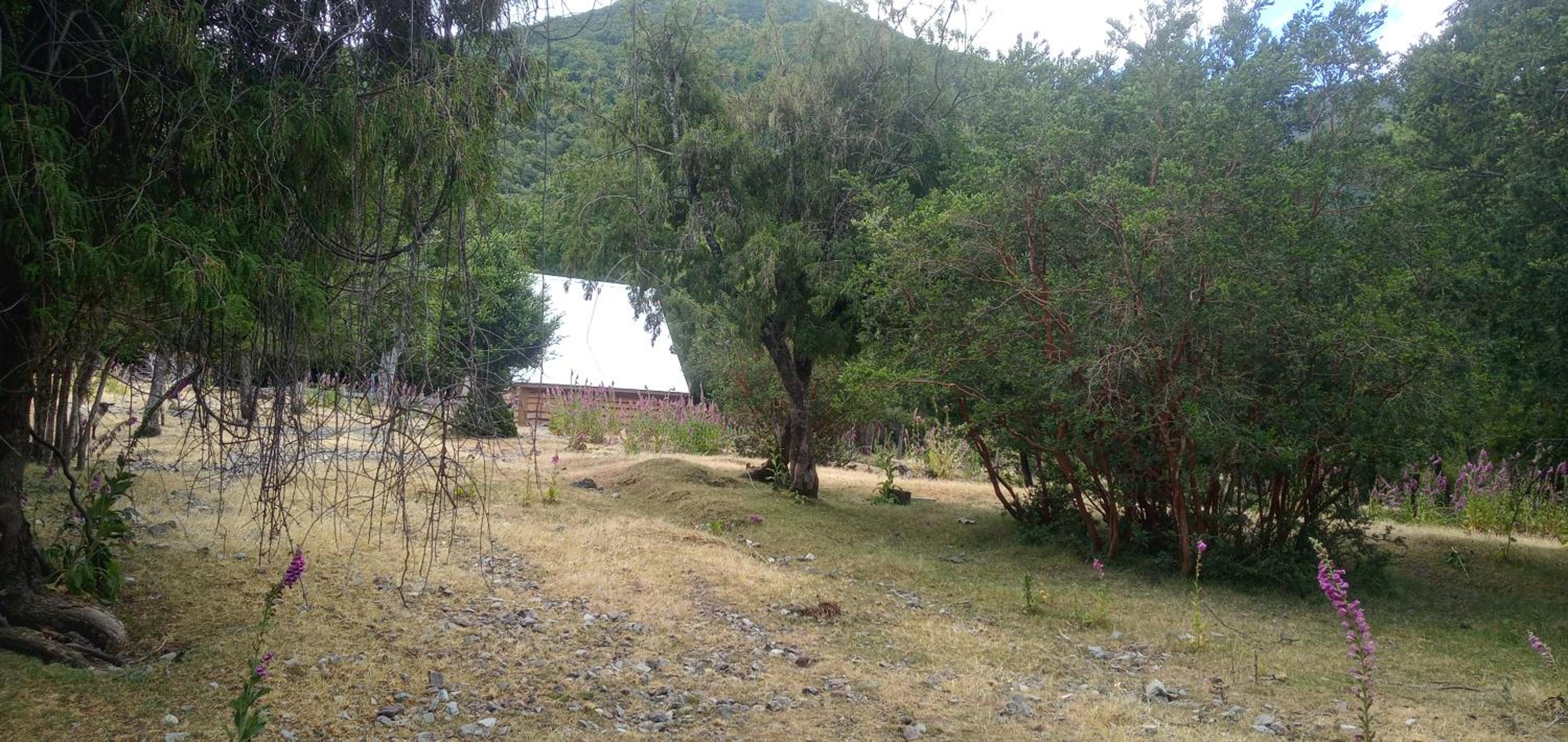 Cabaña Nawel