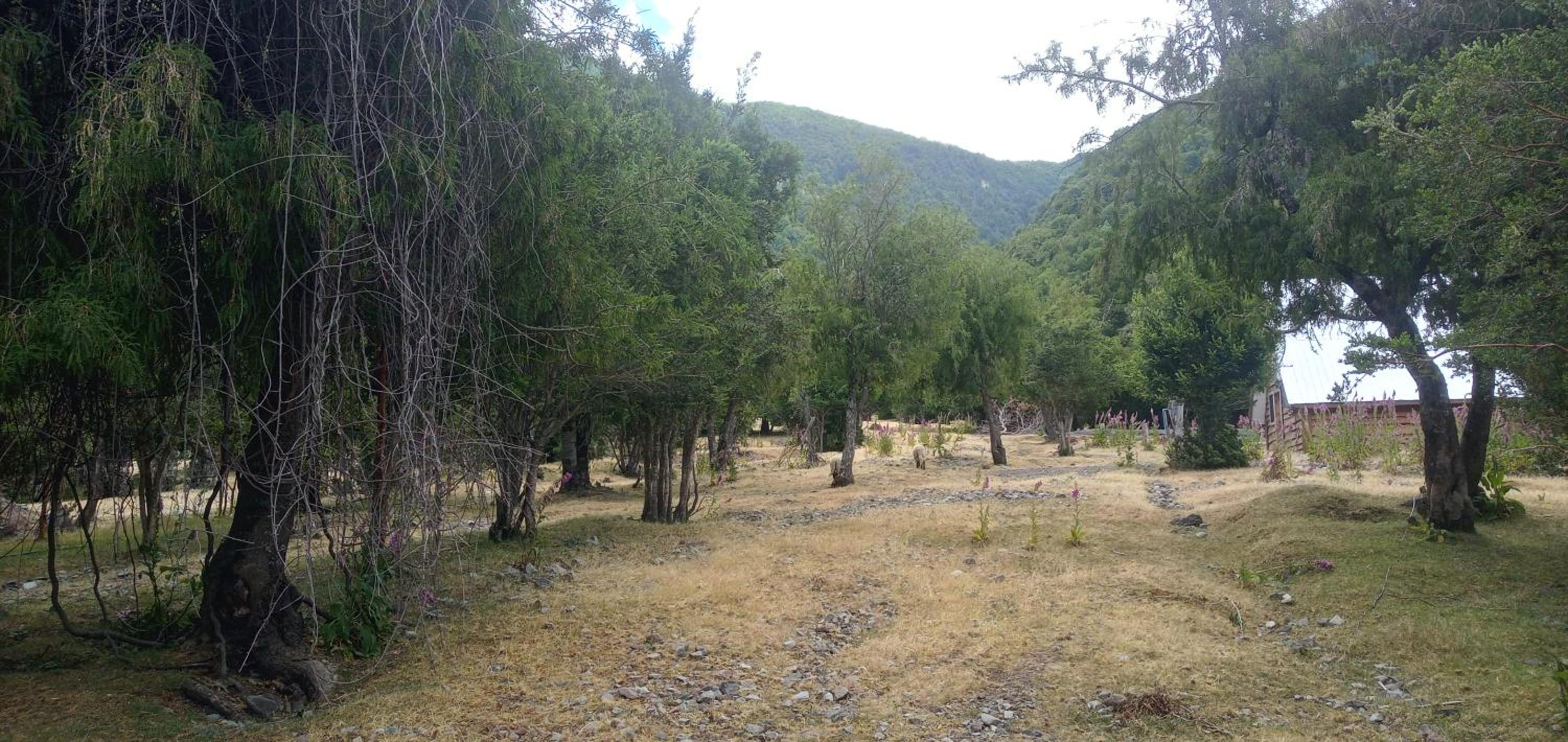 Cabaña Nawel
