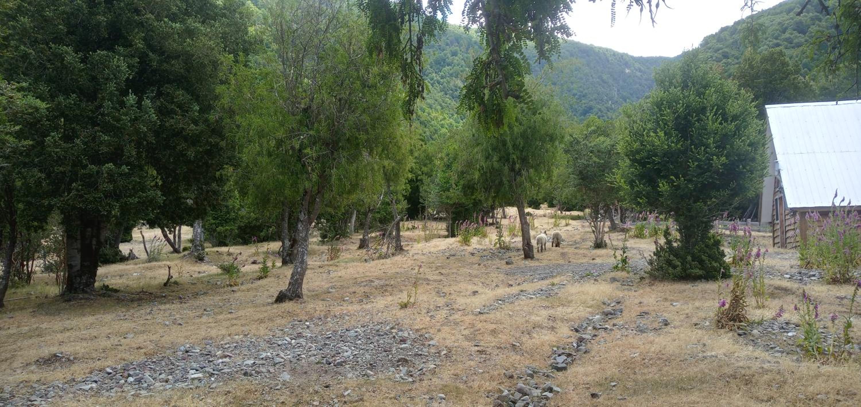 Cabaña Nawel