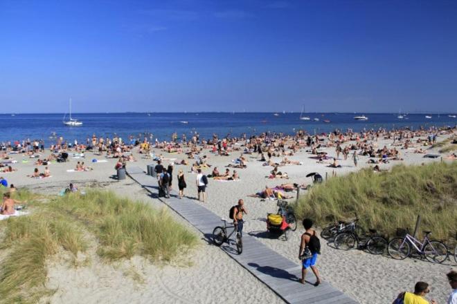 Ama Hyg Atelier Copenhagen-Delicius apartment near the Beach,Metro, Airport
