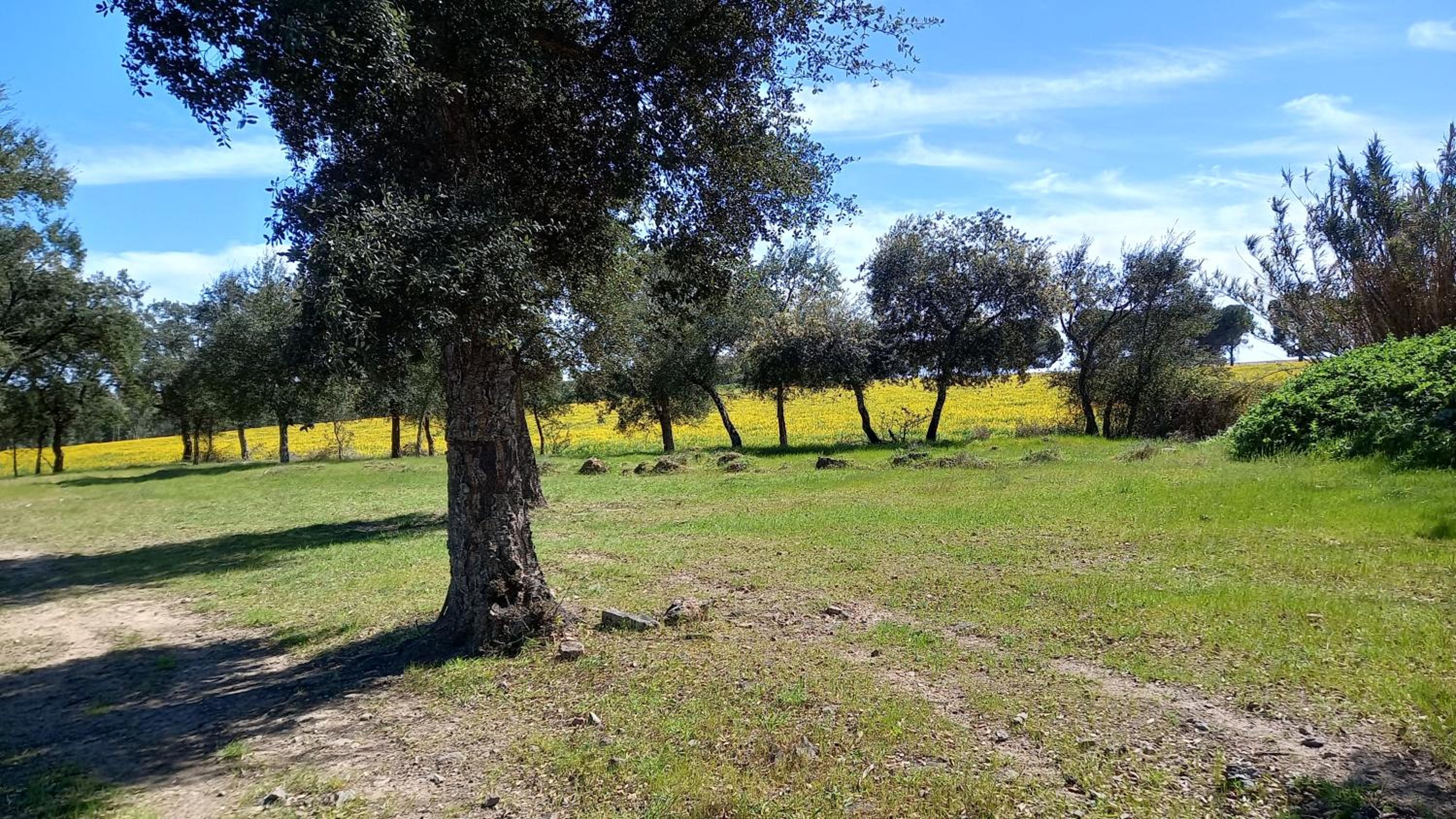 Monte Da Serralheira Agro Turismo