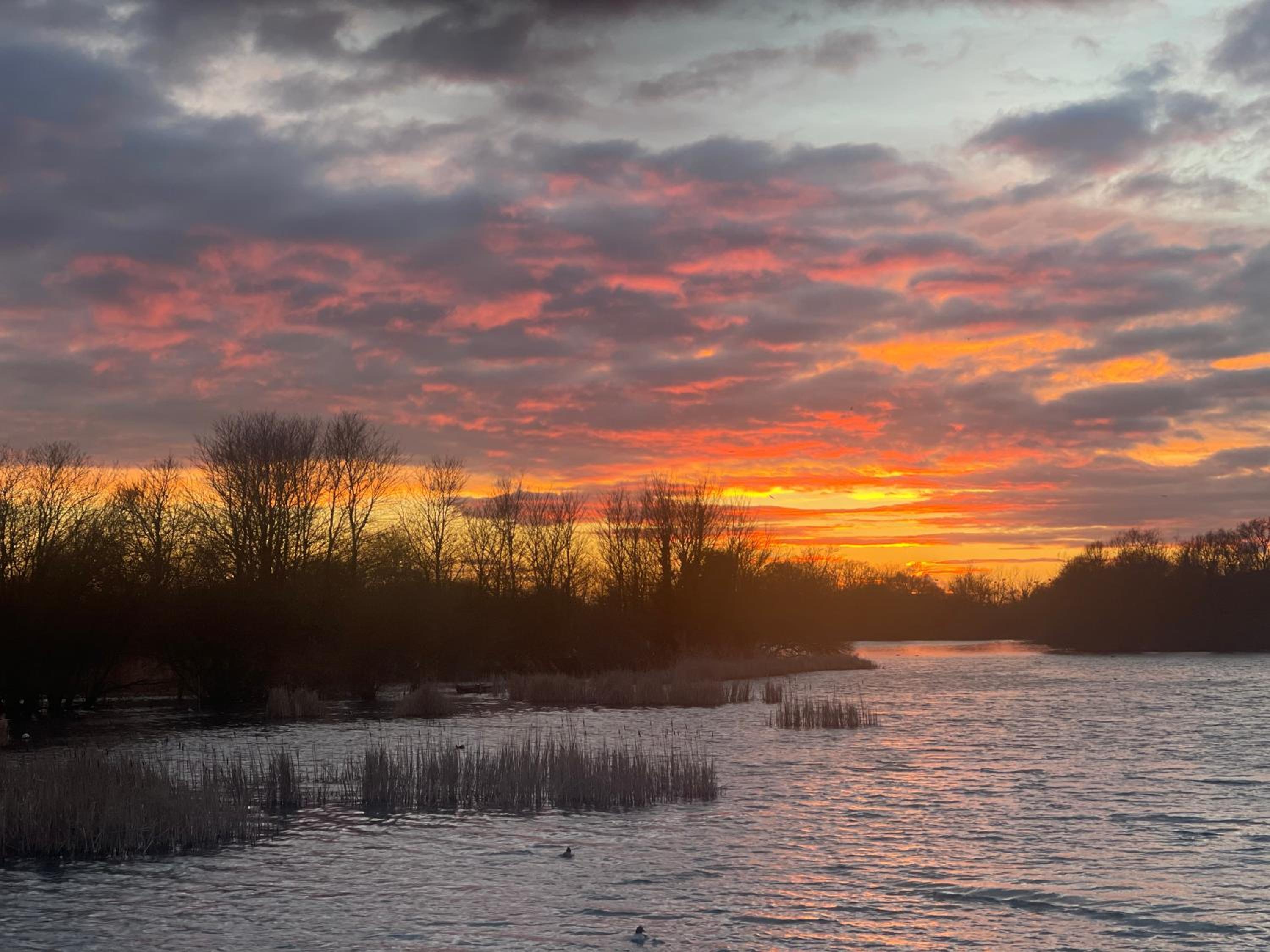 Chichester Lakeside Holiday Park Lakefront Lodge