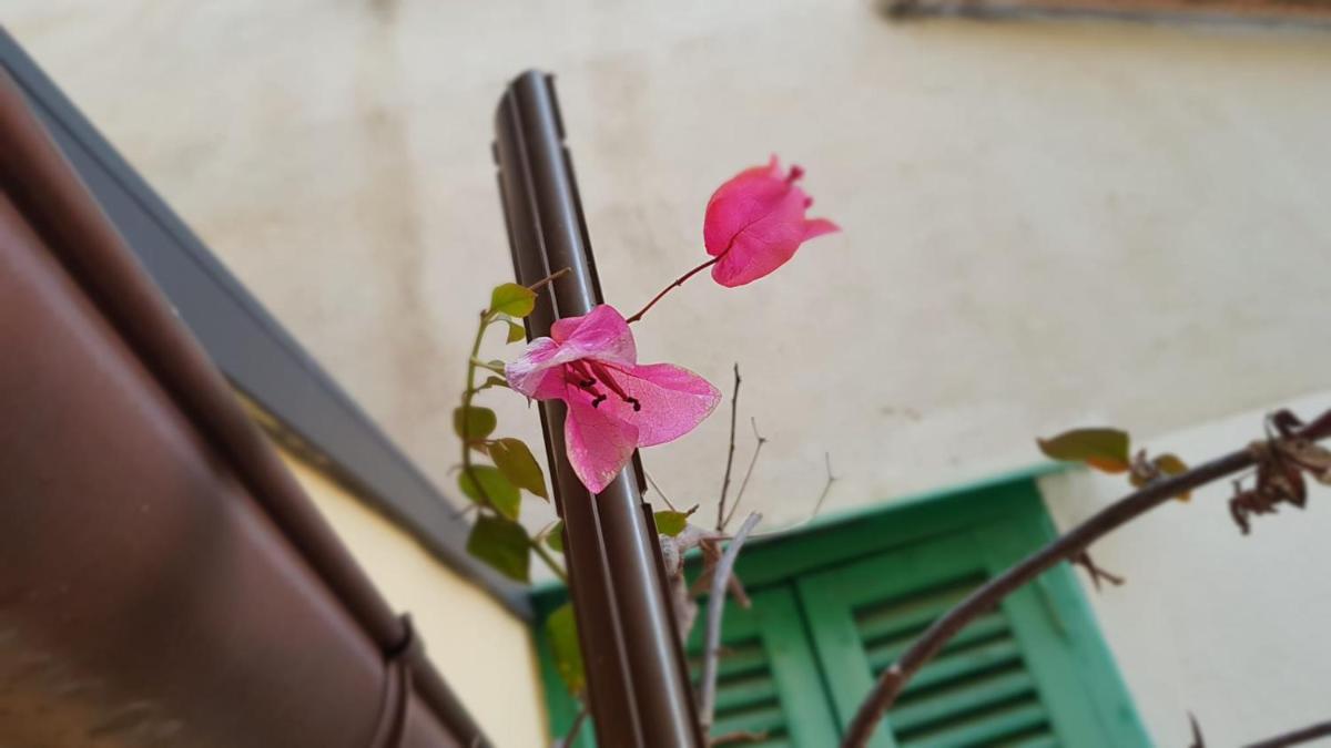 Photo 37