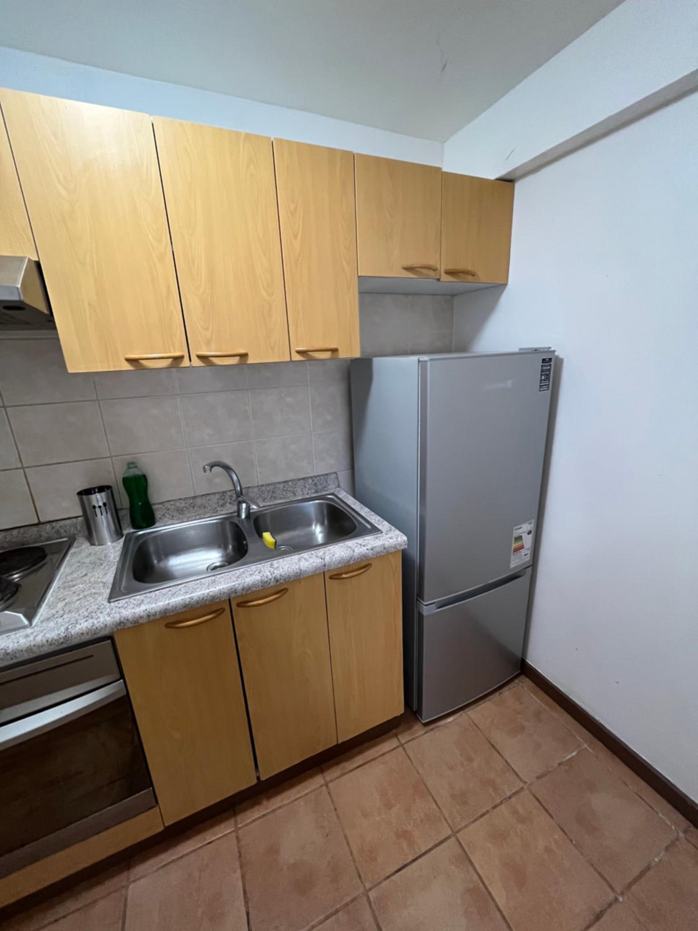Hermoso departamento en playa Frutillar Bajo