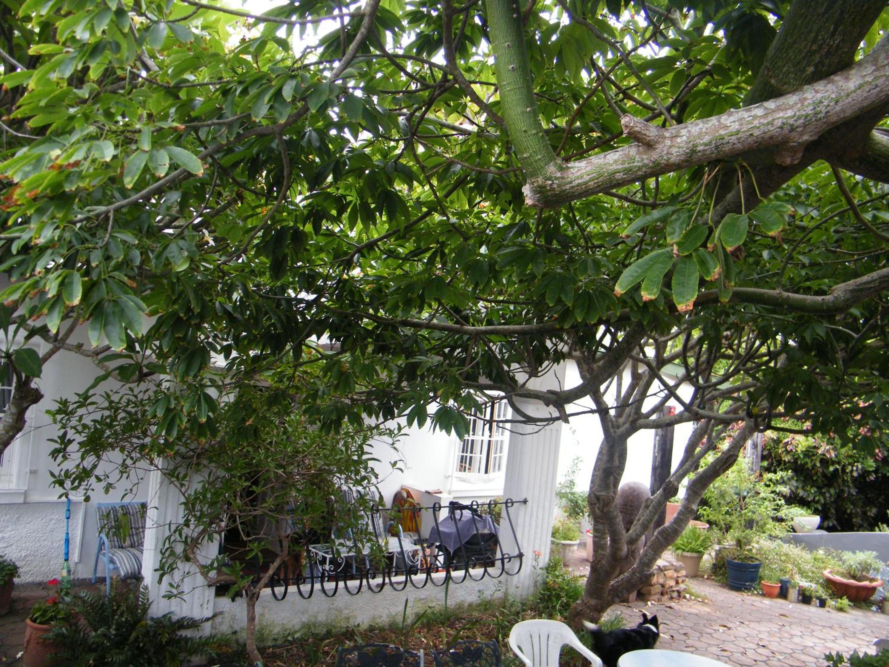 Valley Guest House