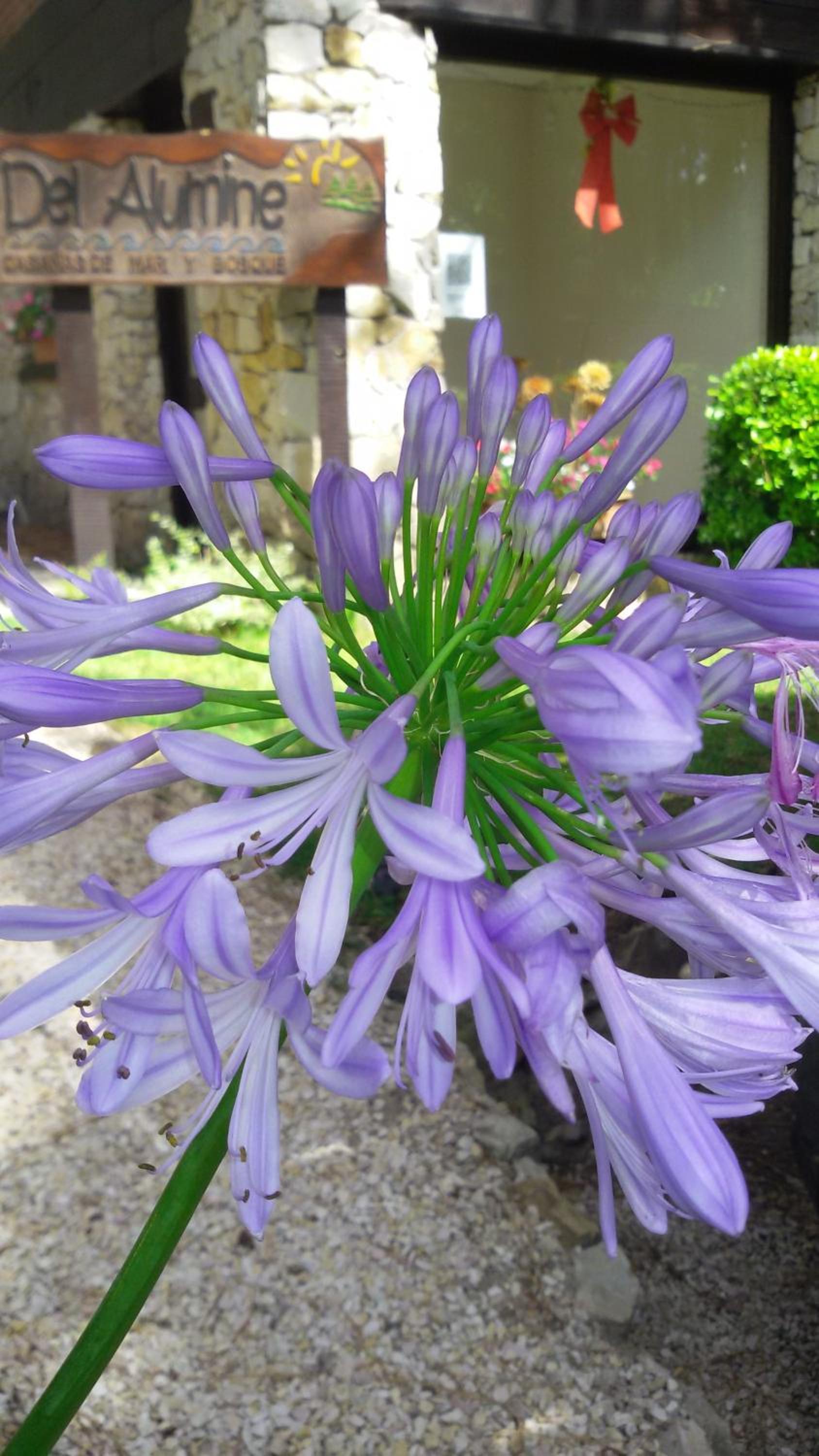 Del Alumine
