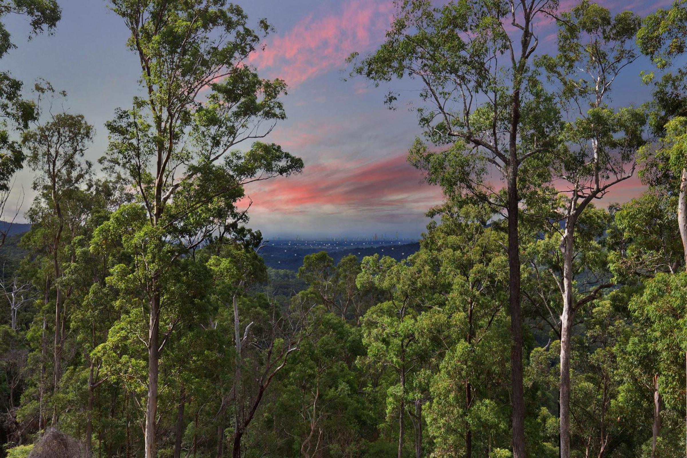Gold Coast Tree Houses