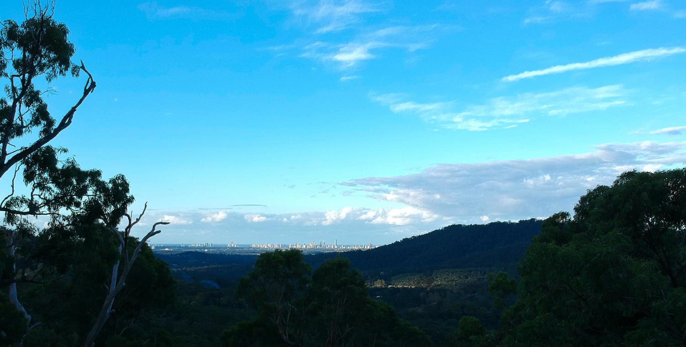 Gold Coast Tree Houses
