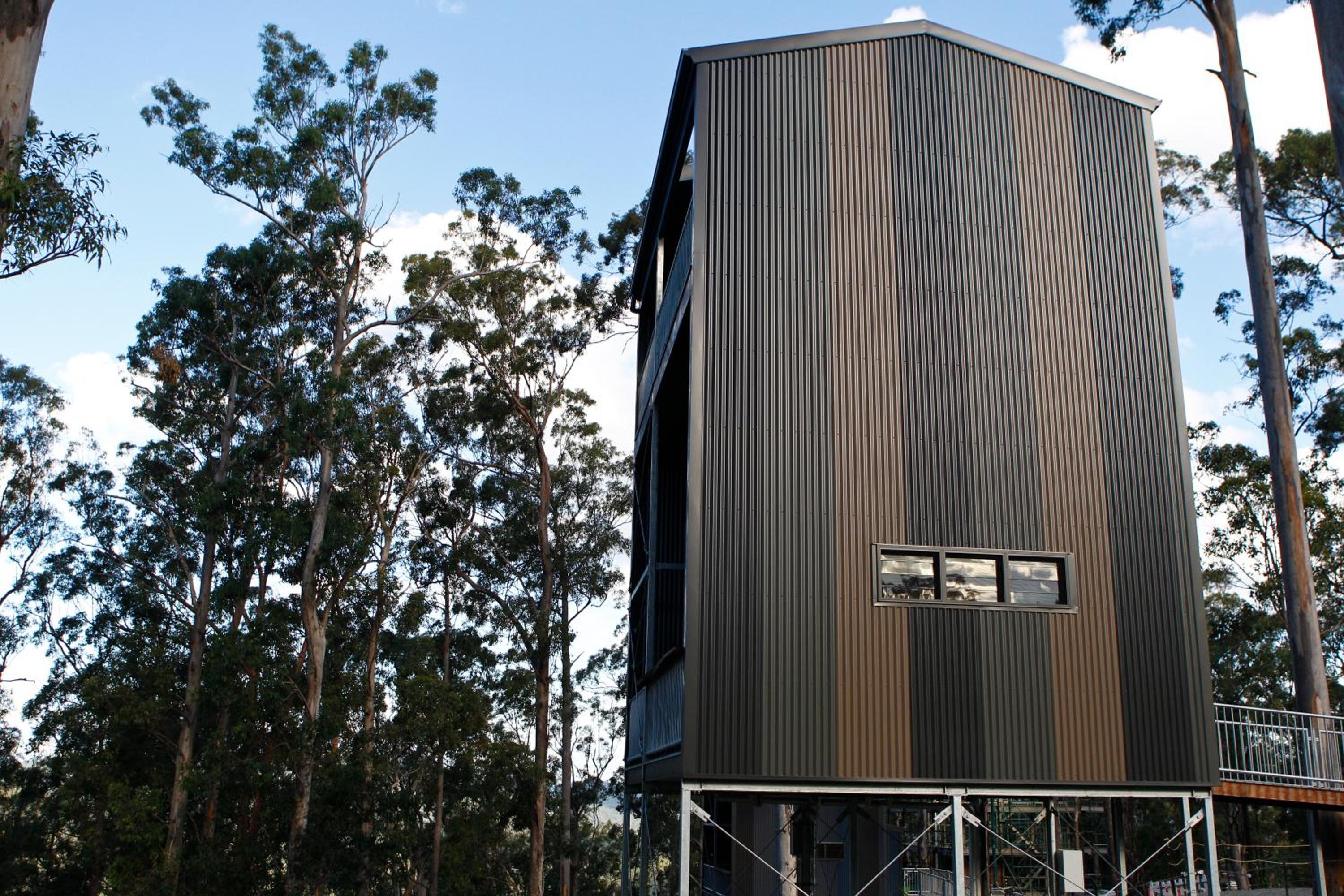 Gold Coast Tree Houses