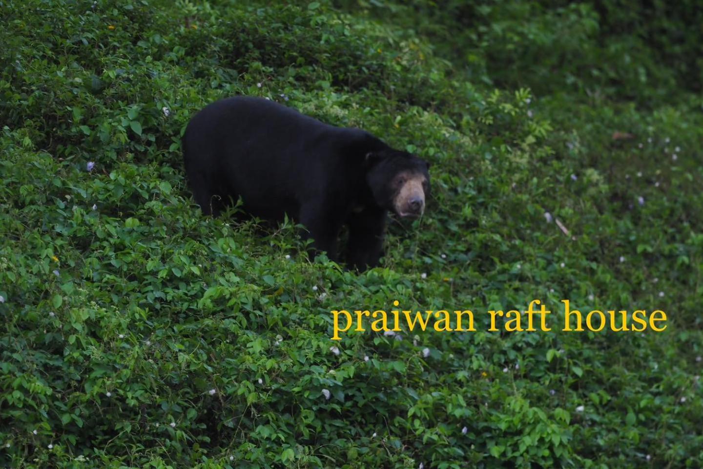 Praiwan Raft House 16