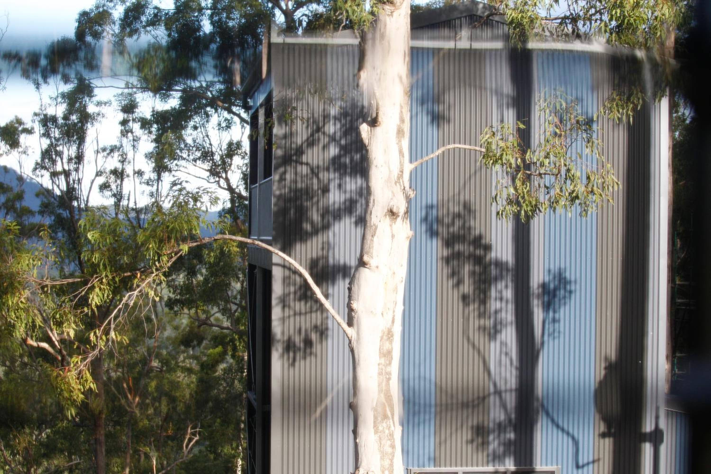 Gold Coast Tree Houses