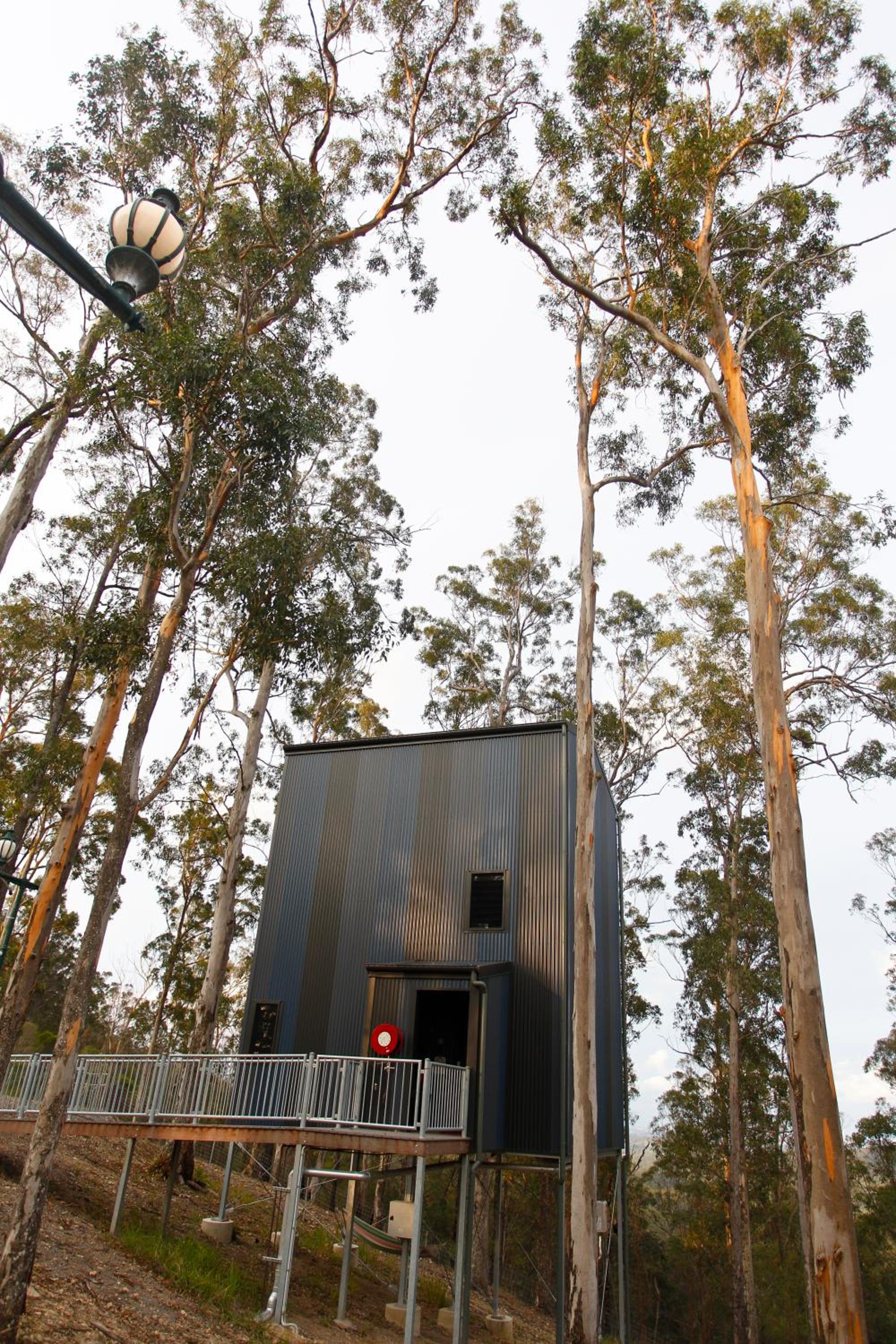 Gold Coast Tree Houses