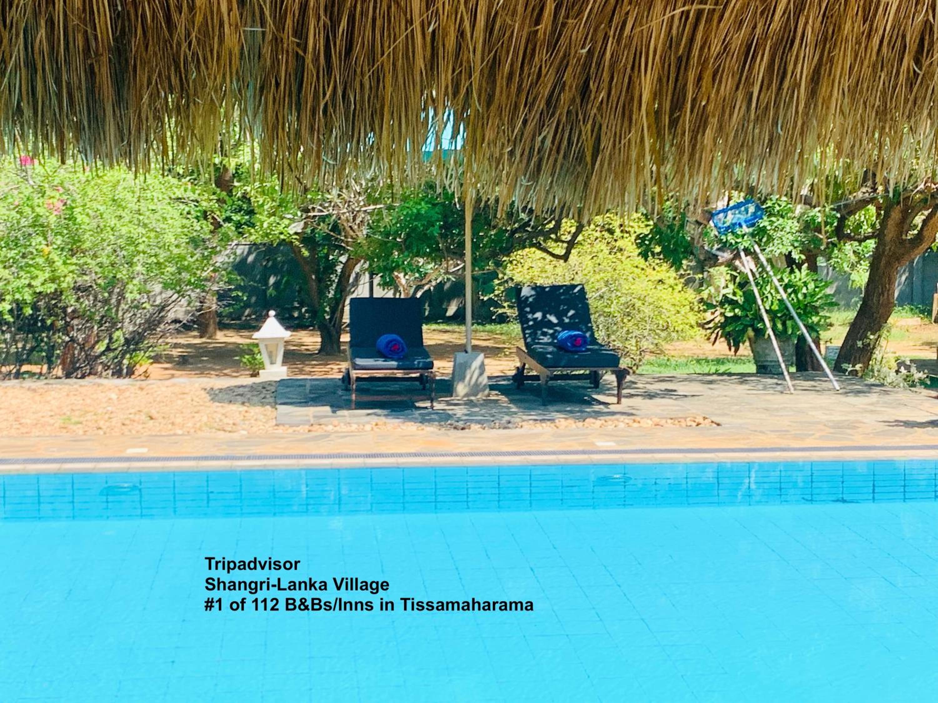 Shangri Lanka Luxury Resort Yala view 2