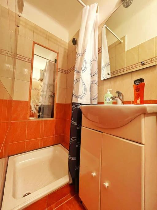 Budget Flat in the Center view 3