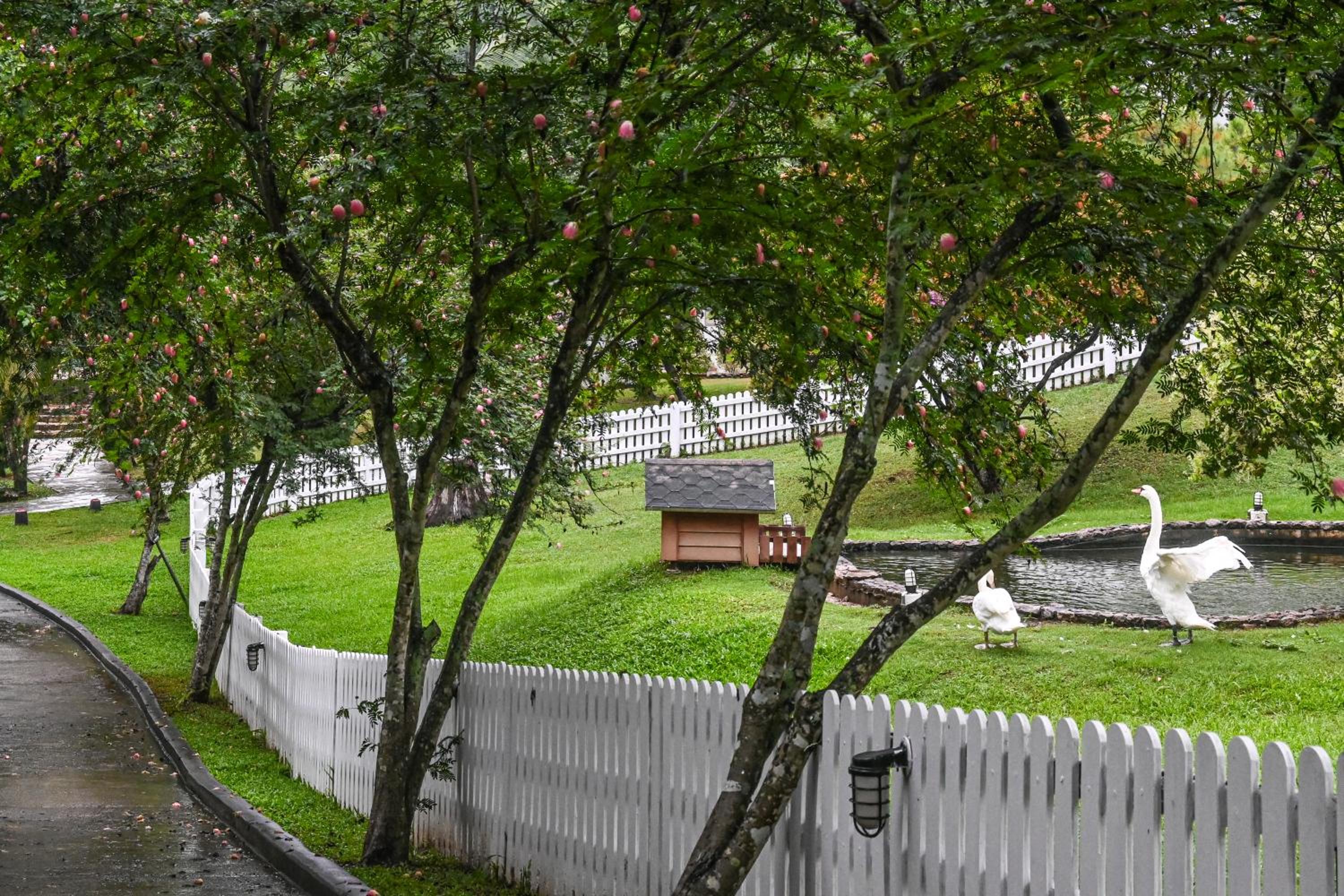 Swiss Valley Hip Resort