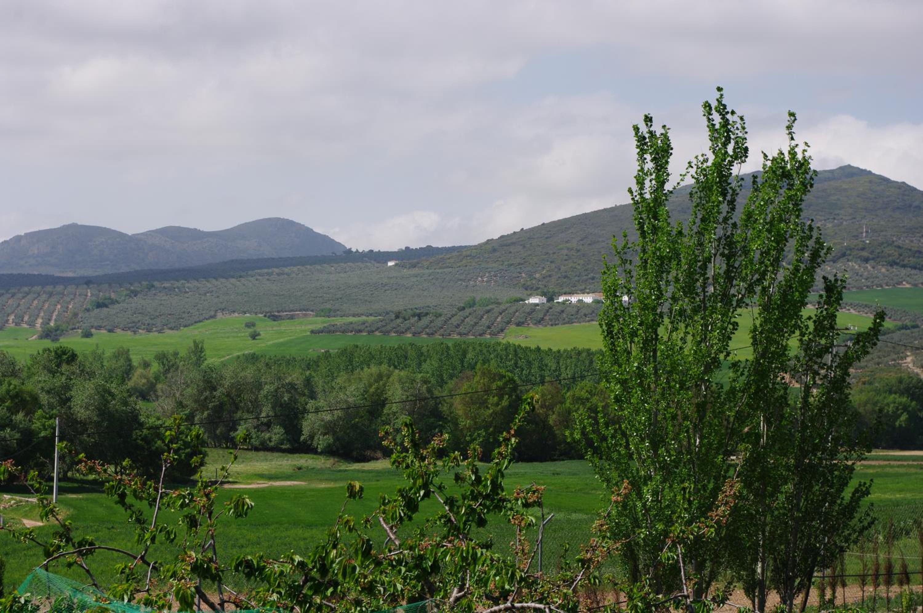 Cortijo Los Arcos - Lujo rural con piscina y vistas espectaculares en Málaga
