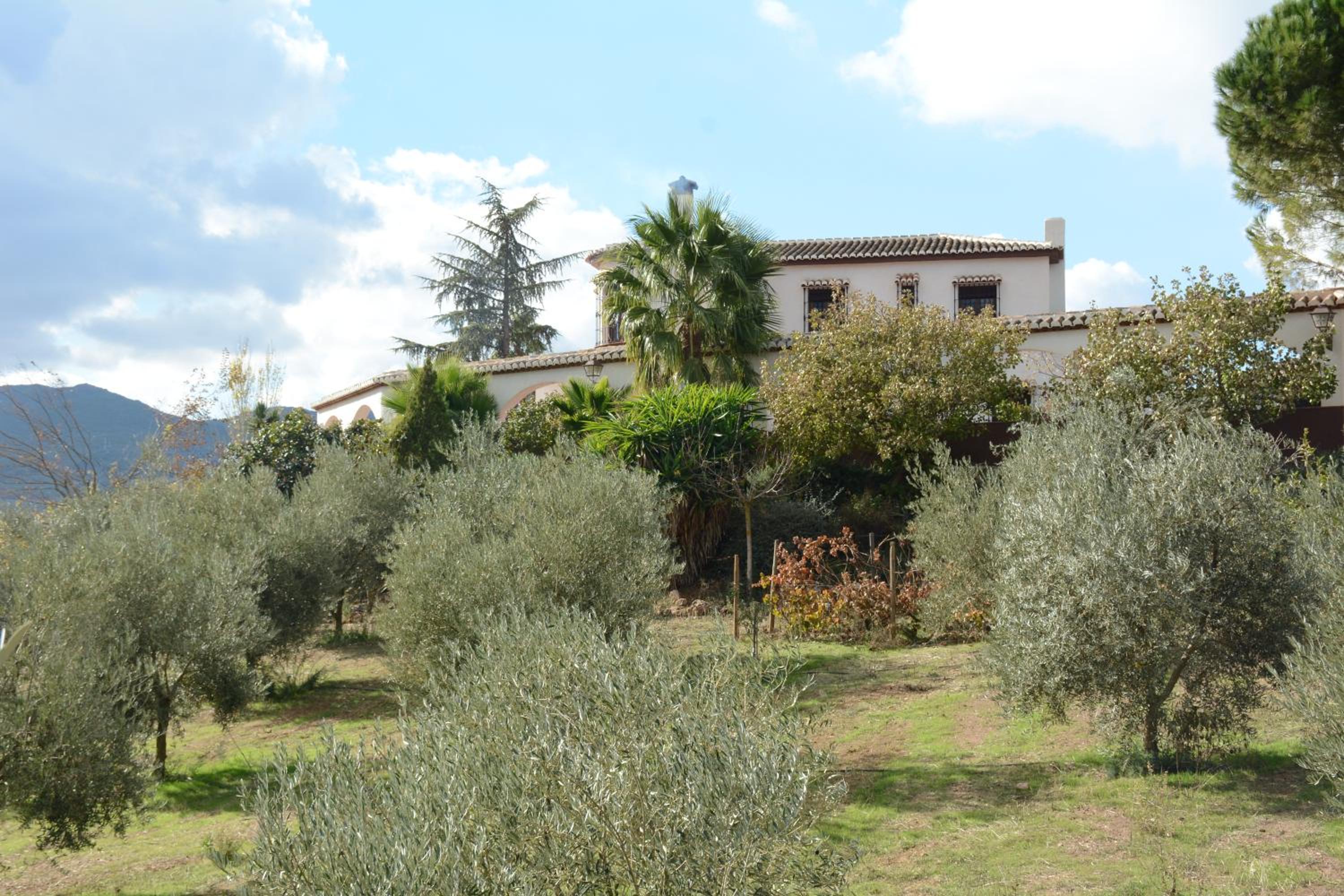 Cortijo Los Arcos - Lujo rural con piscina y vistas espectaculares en Málaga