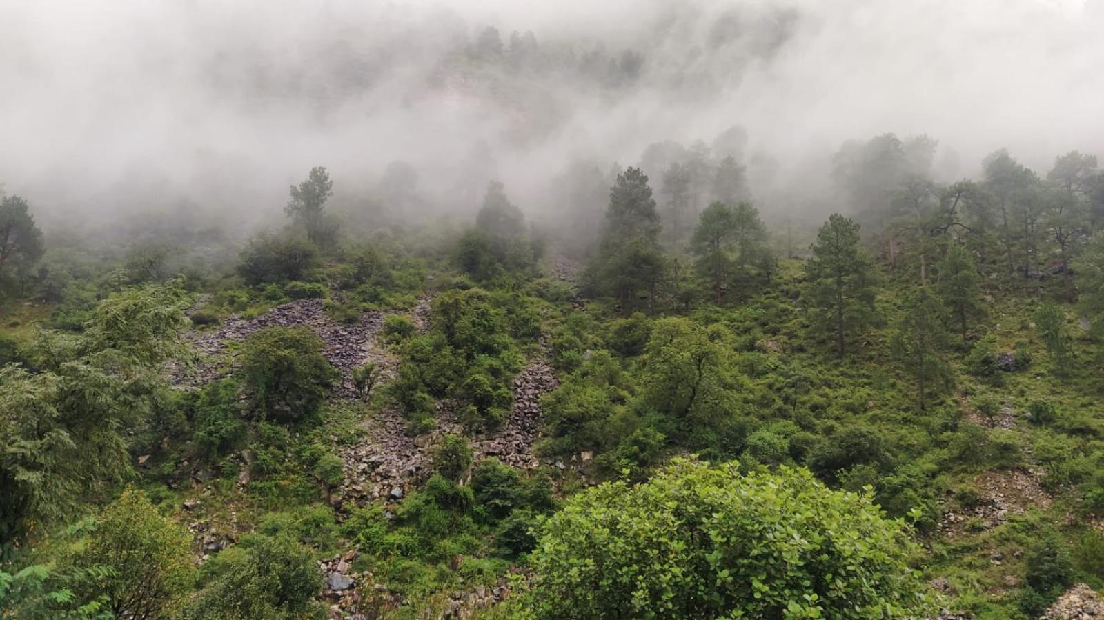 Nature's Paradise -Tirthan valley view 5