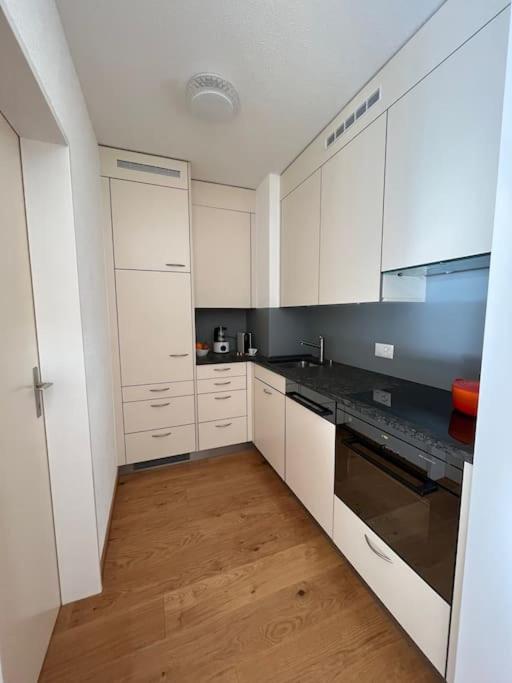 Cozy apartment during WEF Davos 2026