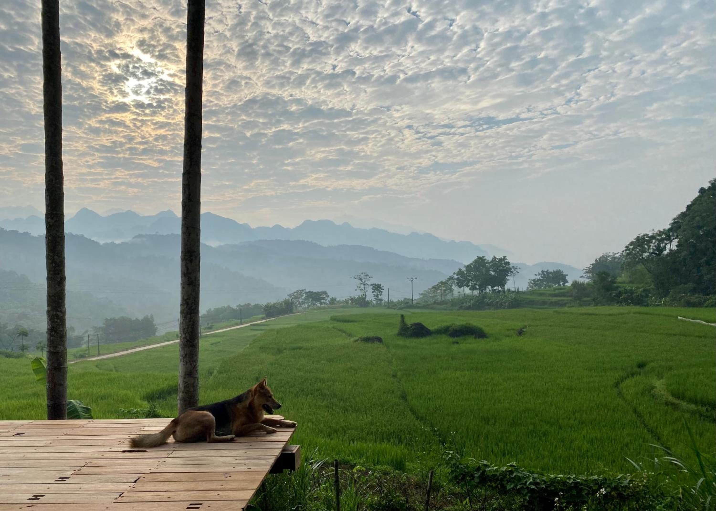 Lua Pu Luong