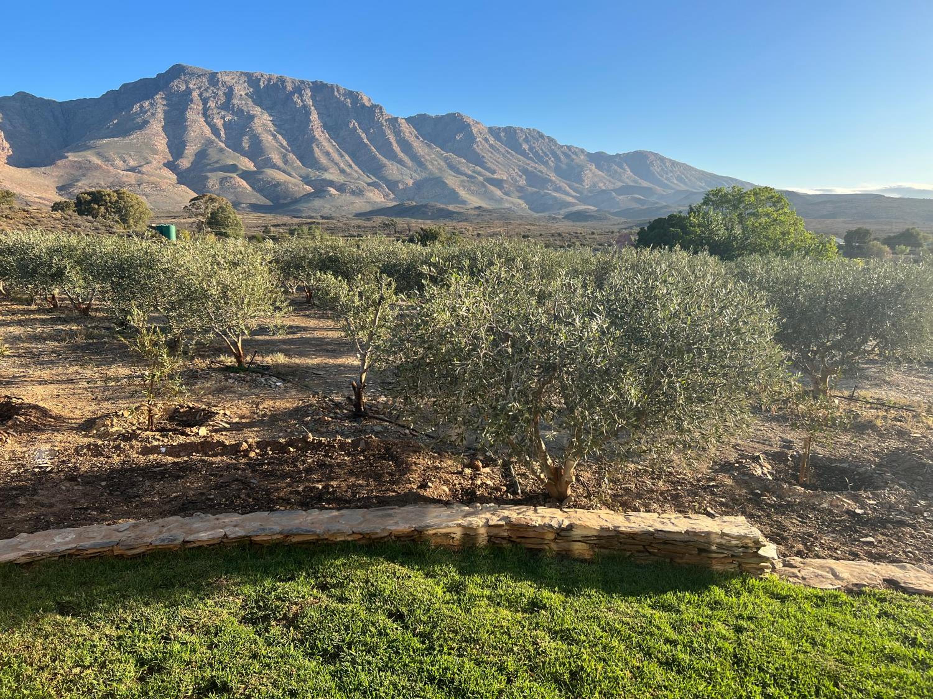Altevrede Cottage Barrydale view 2