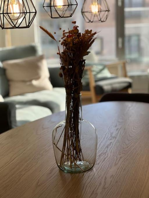 Appartement entièrement rénové à Blankenberge