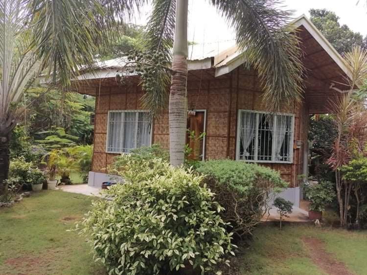 DNF's Home Sweet Home view 3