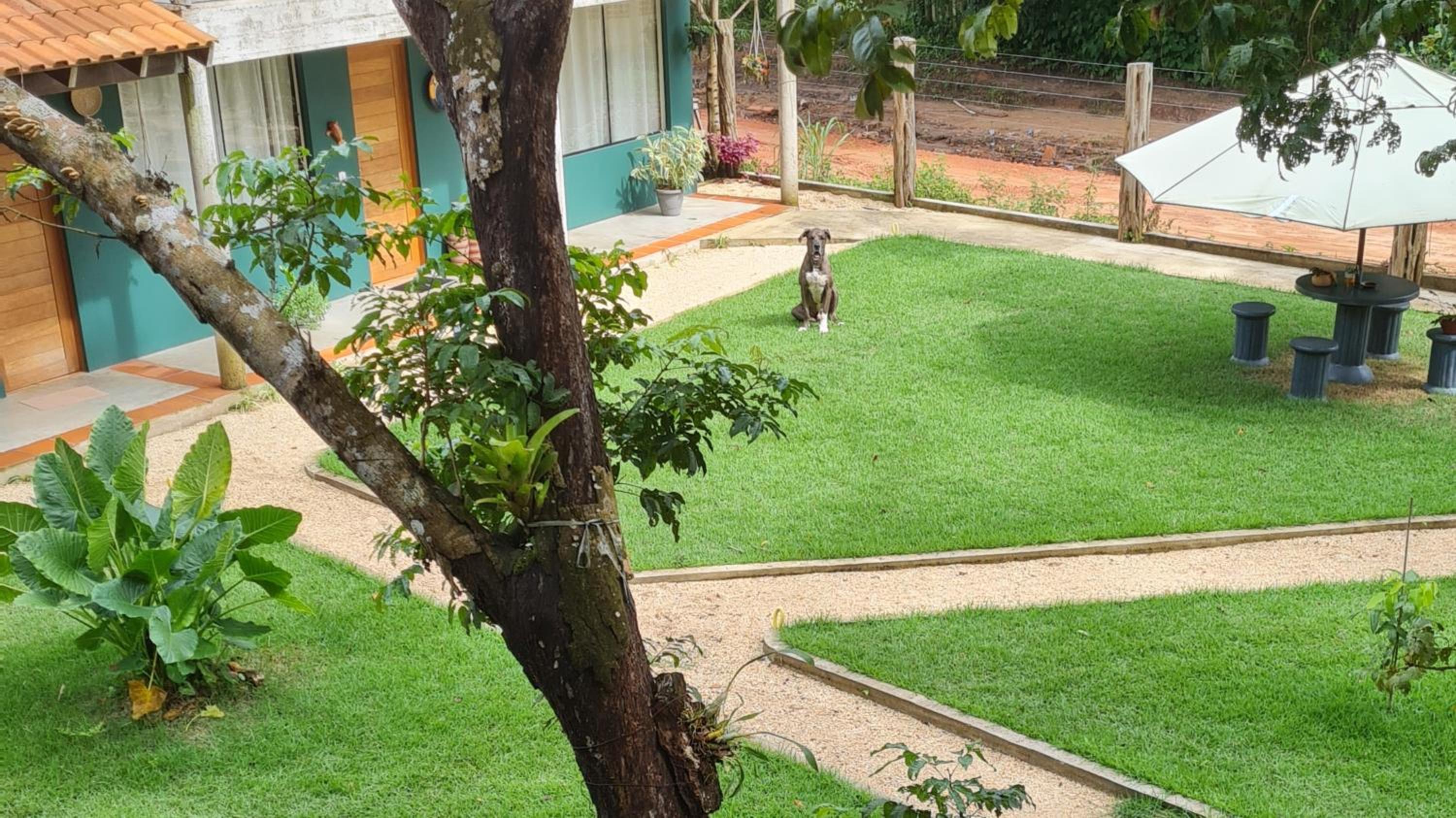 Casa Saimiri