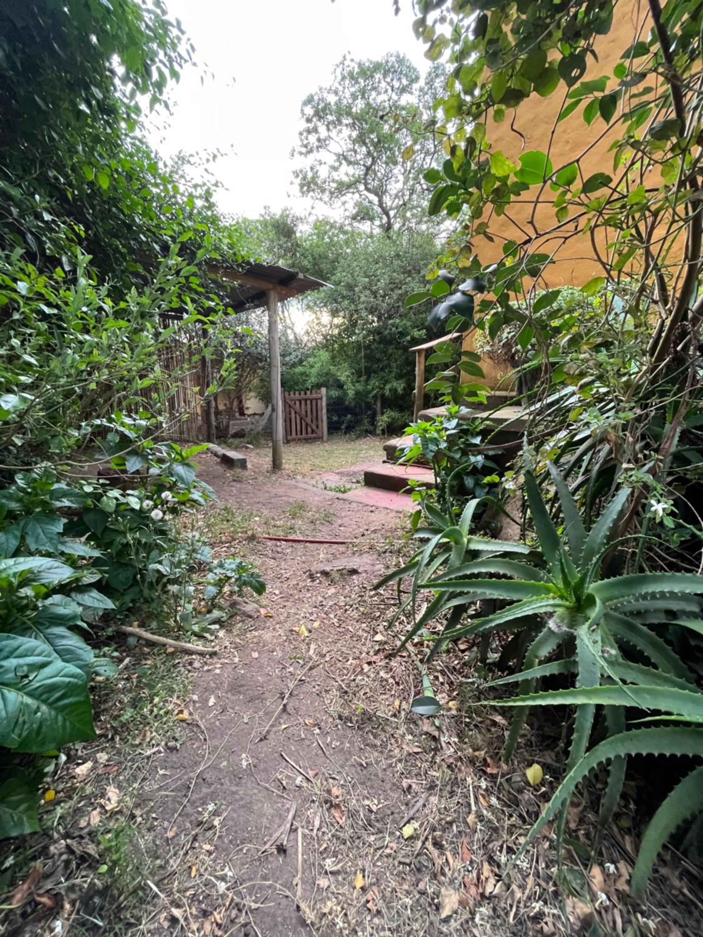 Photo 27