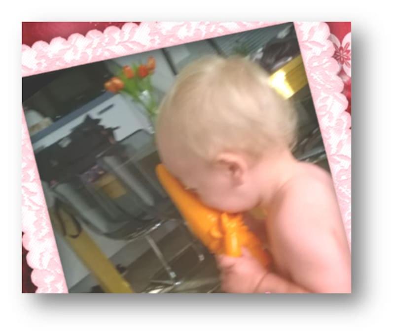 De Oranje Kabouter
