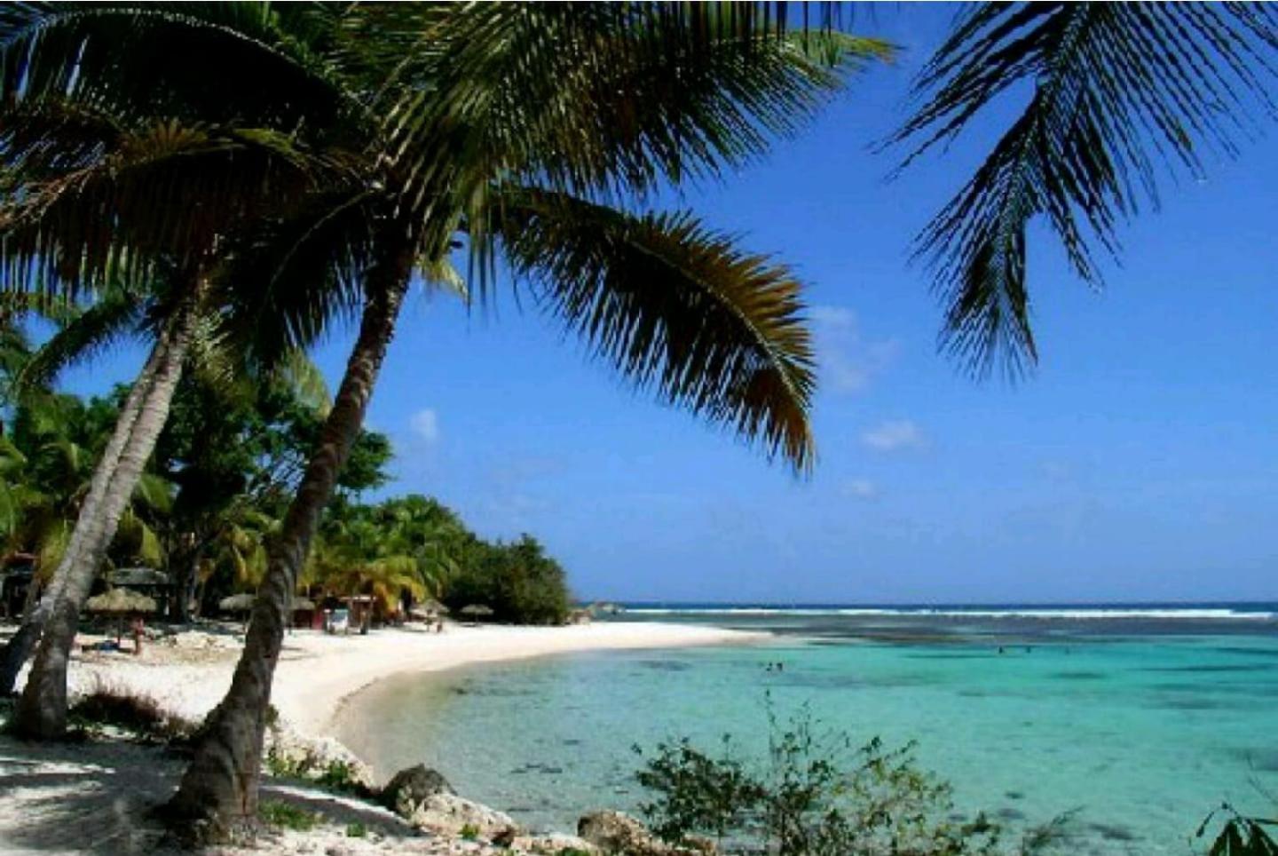 Anse des rochers - Ti Kaz MiLouMa view 4