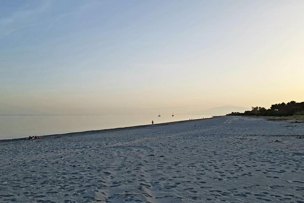 Photo 50