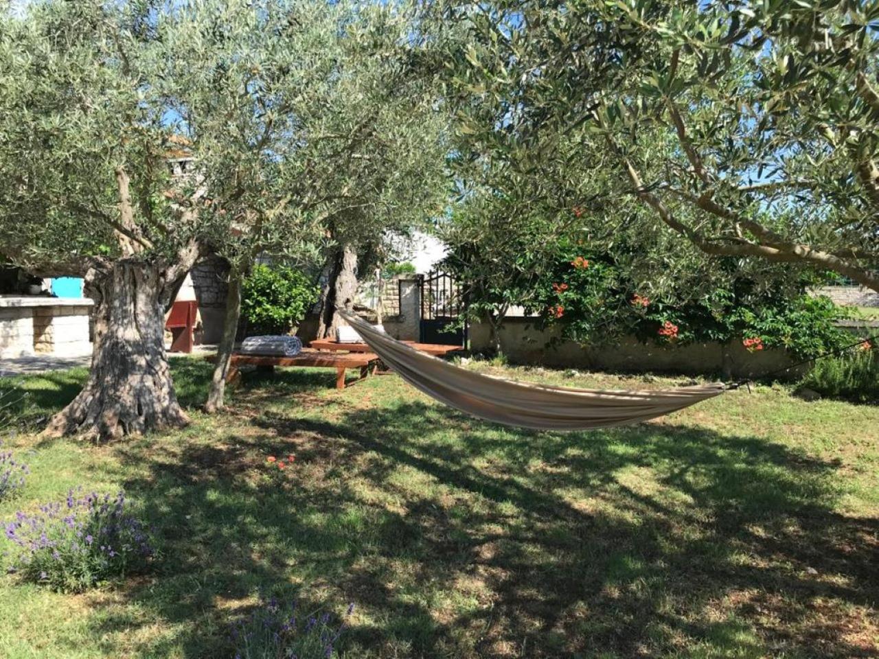 Farmhouse Cubani view 5