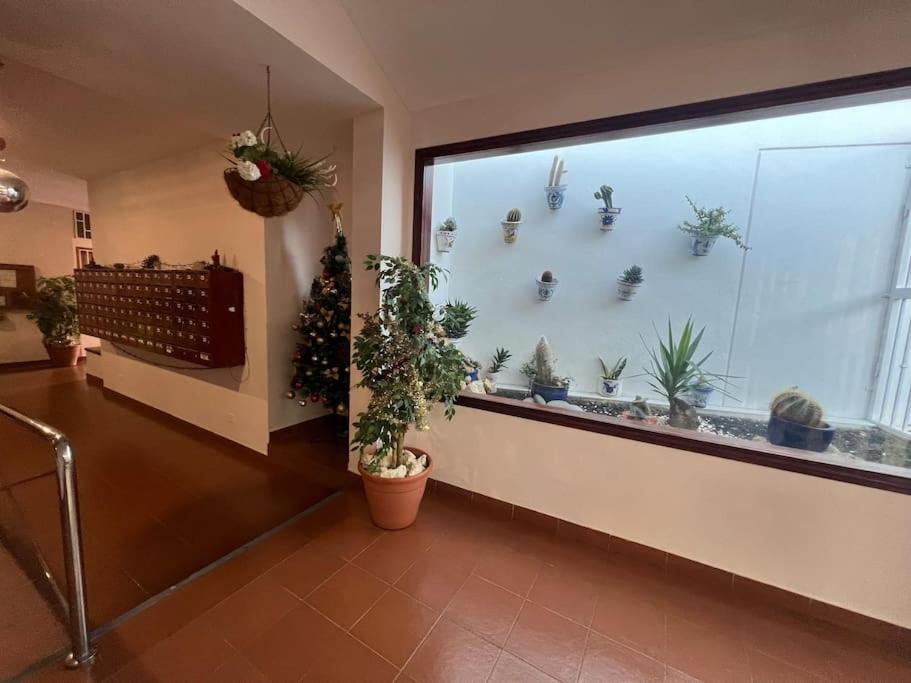 Molton Tenerife 1 view 4