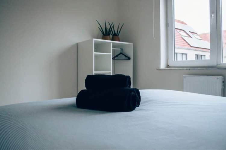 Vakantieappartement DE SPUIKOM
