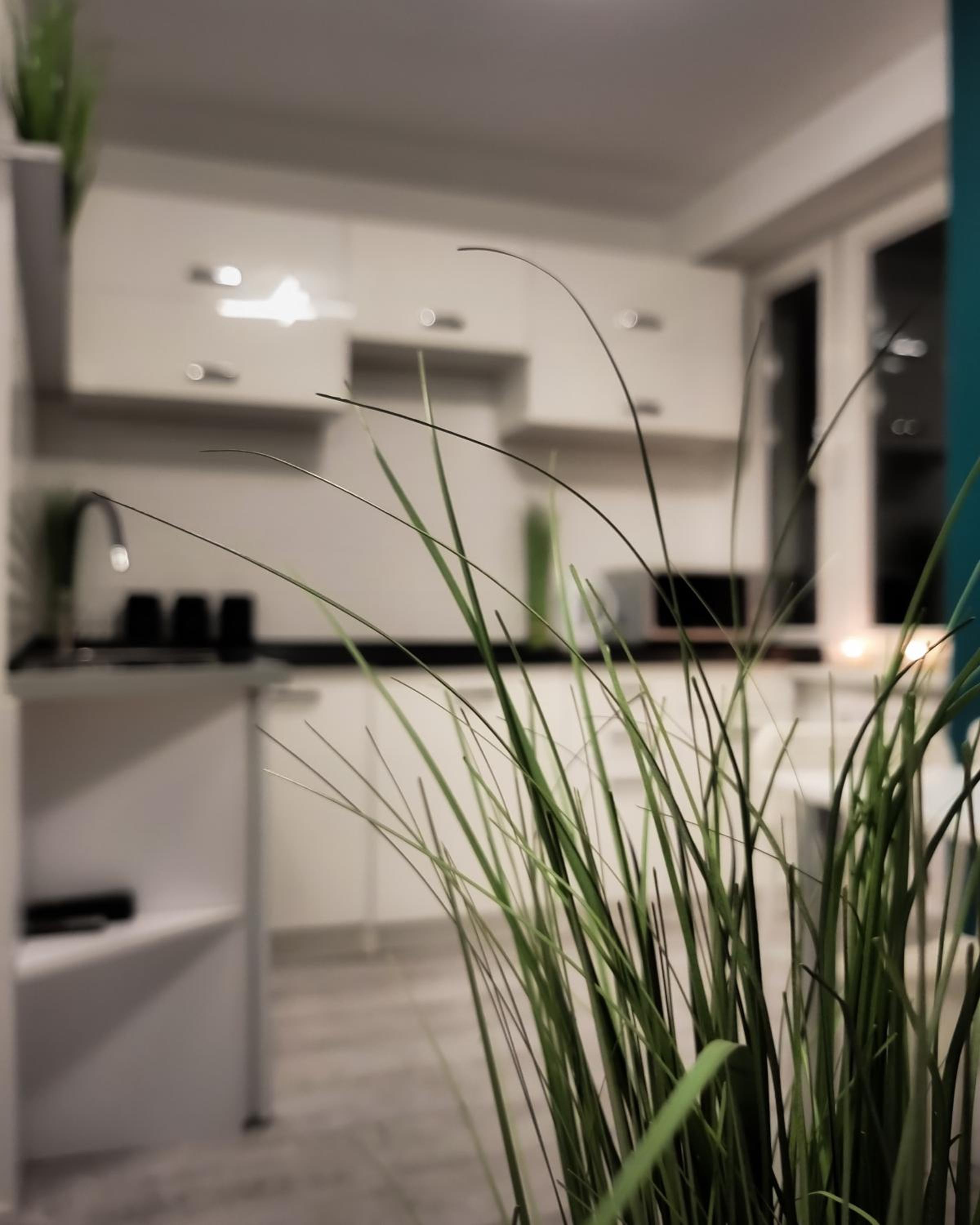 Apartament Green Mrągowo-Mazury,blisko plaża, centrum! Wi-fi!, photo 8