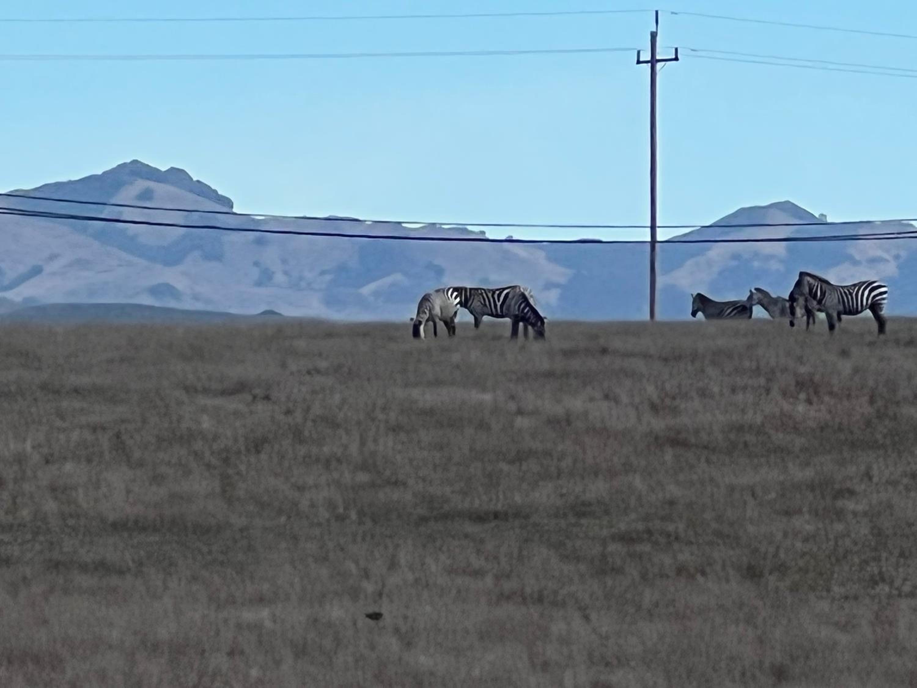 San Simeon Vacations - Pacific Coast Roadhouse Hotel - Property Image 45
