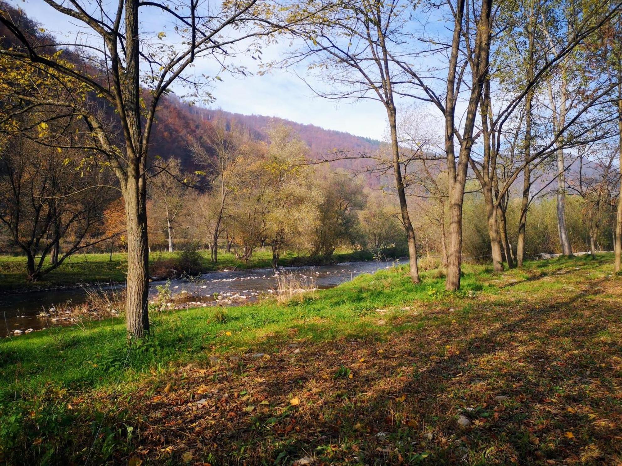 Căsuțe Zăvoi Bulz view 5