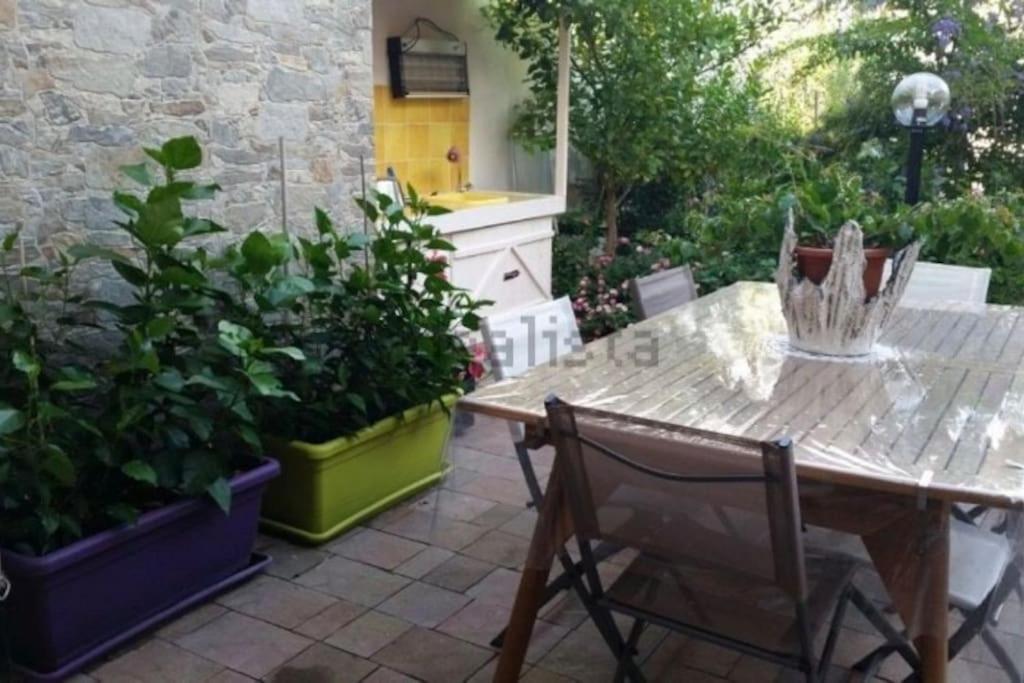 The Little Lemon Tree view 5