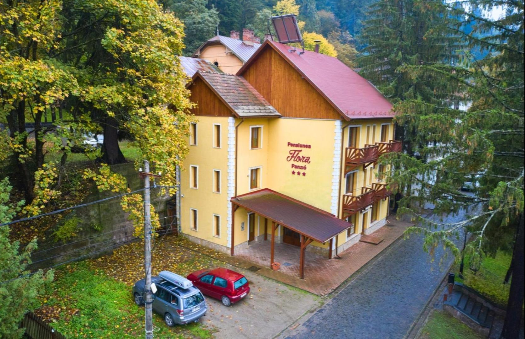 Hotel Pensiunea Flora - Image 1