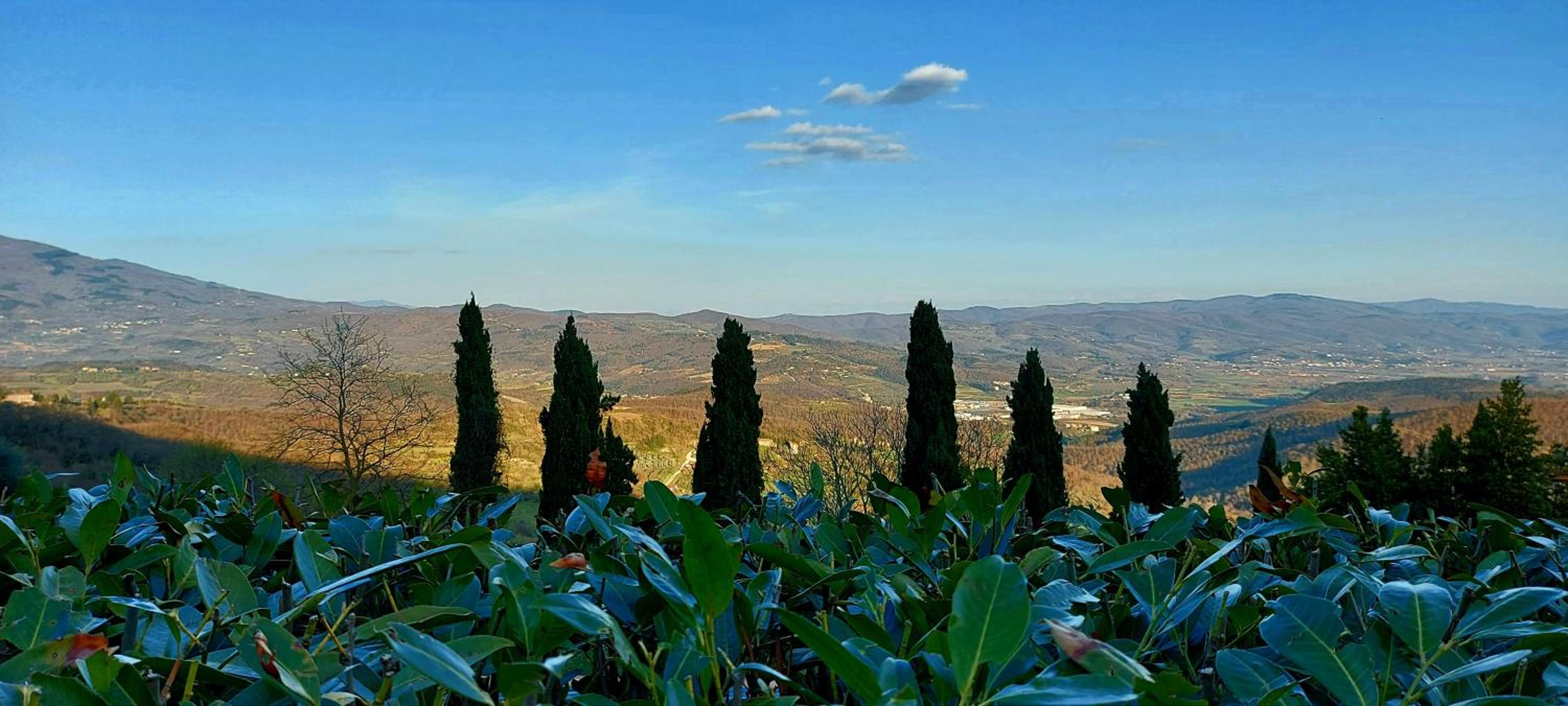 Casa Bisibilla